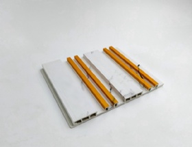WPC two-color wall panel